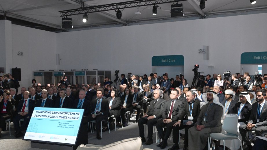 COP29 çərçivəsində iqlim dəyişikliyi ilə mübarizəyə hüquq-mühafizə orqanlarının səfərbər edilməsi müzakirə olunub