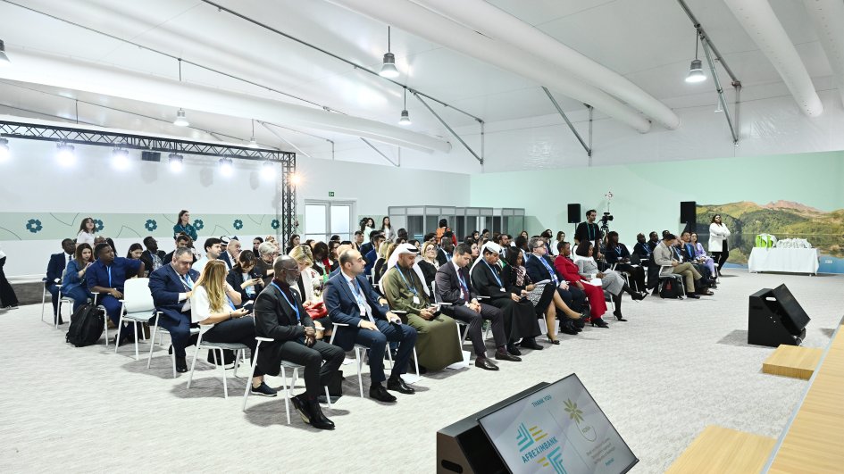 COP29 çərçivəsində “Afrika Dayanıqlı Ticarət Təşəbbüsü” ilə bağlı sessiya keçirilib