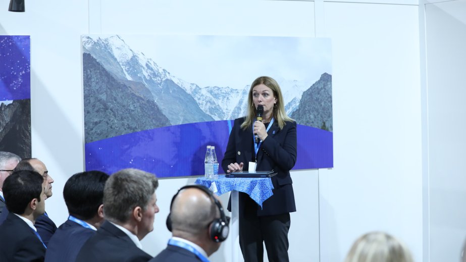 Baş katibin köməkçisi: ANAMA-nın və BMT-nin İnkişaf Proqramının tərəfdaşlığı əməkdaşlığın ən gözəl nümunəsidir