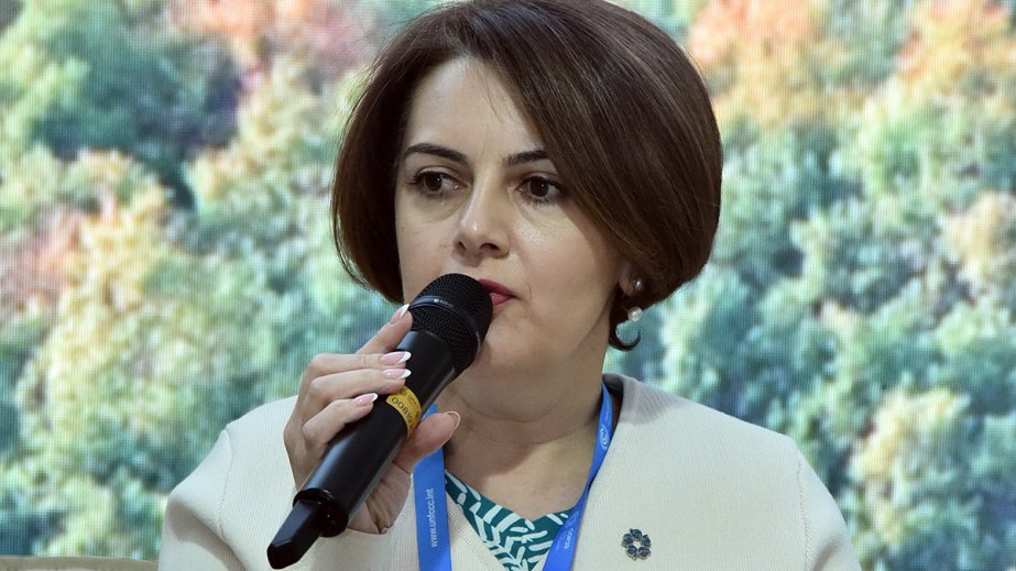 BOEMDA: Azərbaycanın 4 ölkə ilə imzaladığı saziş yaşıl enerjinin ixracı üçün nəzərdə tutulub