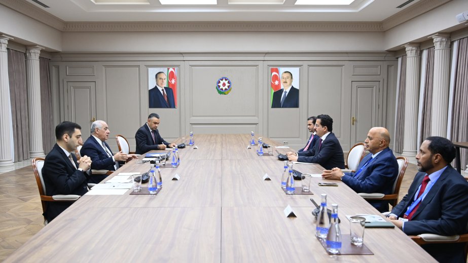 Baş nazir Əli Əsədov Ümumdünya Yaşıl İqtisadiyyat Təşkilatının sədri ilə görüşüb