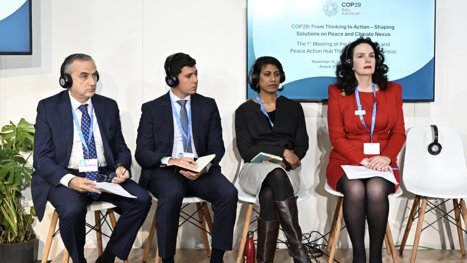 COP29 çərçivəsində beyin mərkəzlərinin işçi qrupu yaradılıb