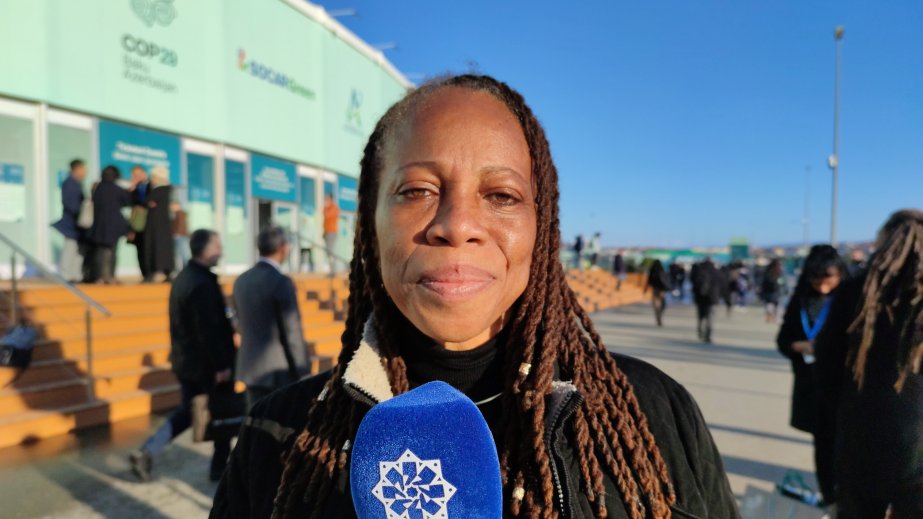 Roda Arrindell: COP29-da Azərbaycan Prezidentinin çıxışından ruhlandıq