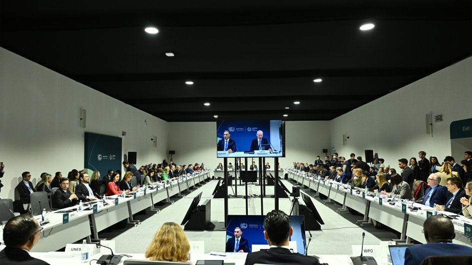 COP29 çərçivəsində tarixdə ilk dəfə Rəqəmsallaşma Günü keçirilib