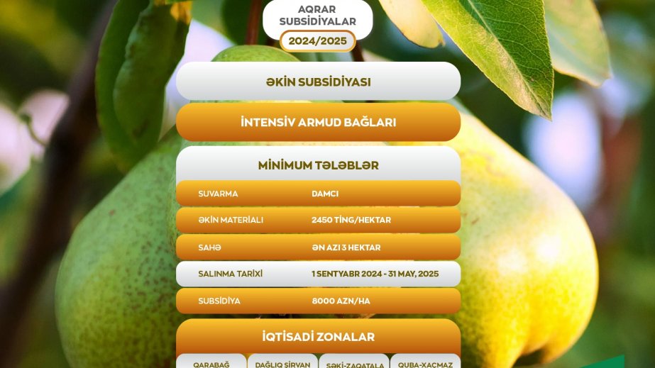 Yeni salınacaq intensiv armud bağlarına görə fermerlərə hər hektara 8000 manat dövlət dəstəyi veriləcək