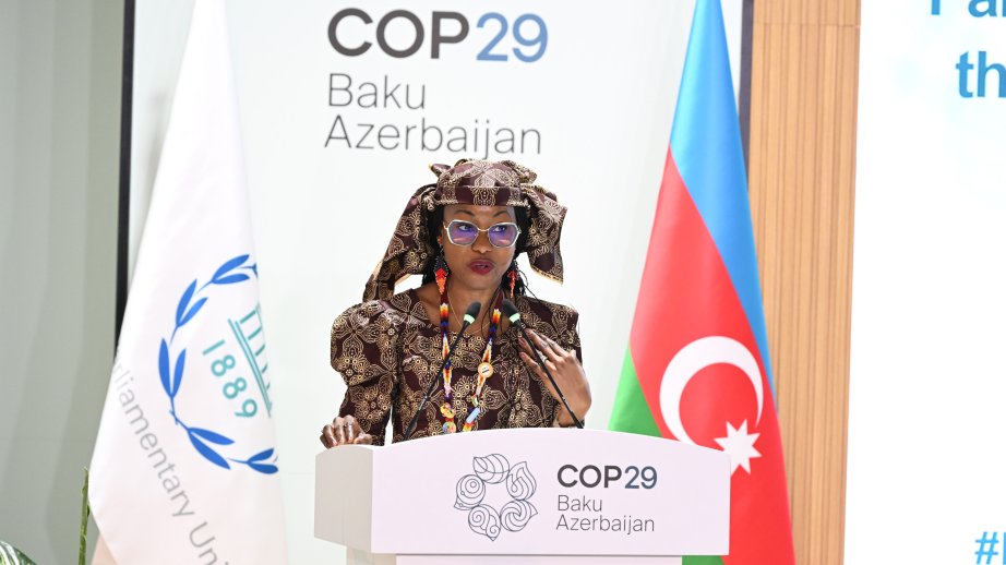 Hindu Omarou İbrahim: Planetimizdə normal şərait yaradaraq həyatımızı qoruya bilərik