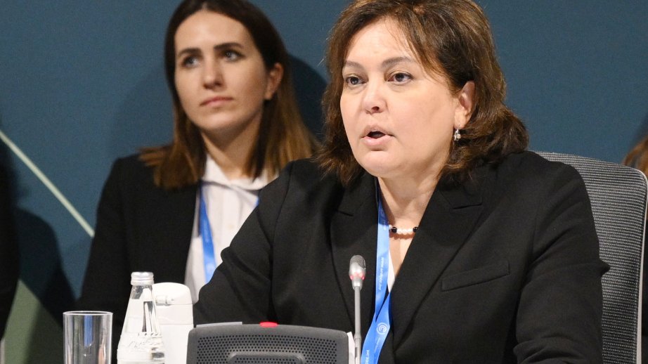 Nazir müavini: Hədəfimiz effektiv uyğunlaşma tədbiri kimi 2027-ci ilə qədər erkən xəbərdarlıq sistemləri yaratmaqdır