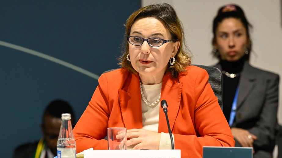 COP29 çərçivəsində 11 ölkə ikiillik şəffaflıq hesabatlarını təqdim edib