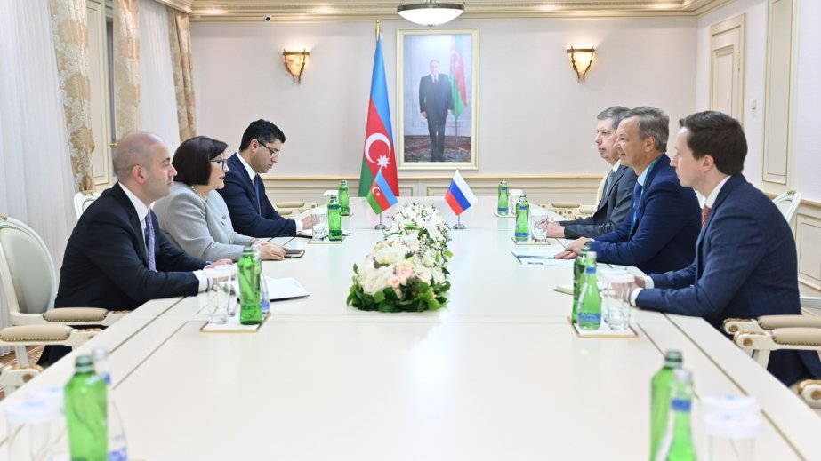 Sahibə Qafarova Rusiya Federal Məclisinin Federasiya Şurası sədrinin birinci müavini ilə görüşüb