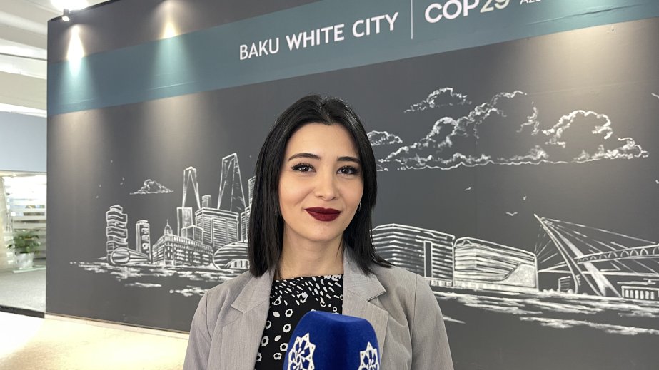 Londonda yaşıl enerji startapı qurmuş azərbaycanlı: COP29 gənclər üçün geniş imkanlar yaradır