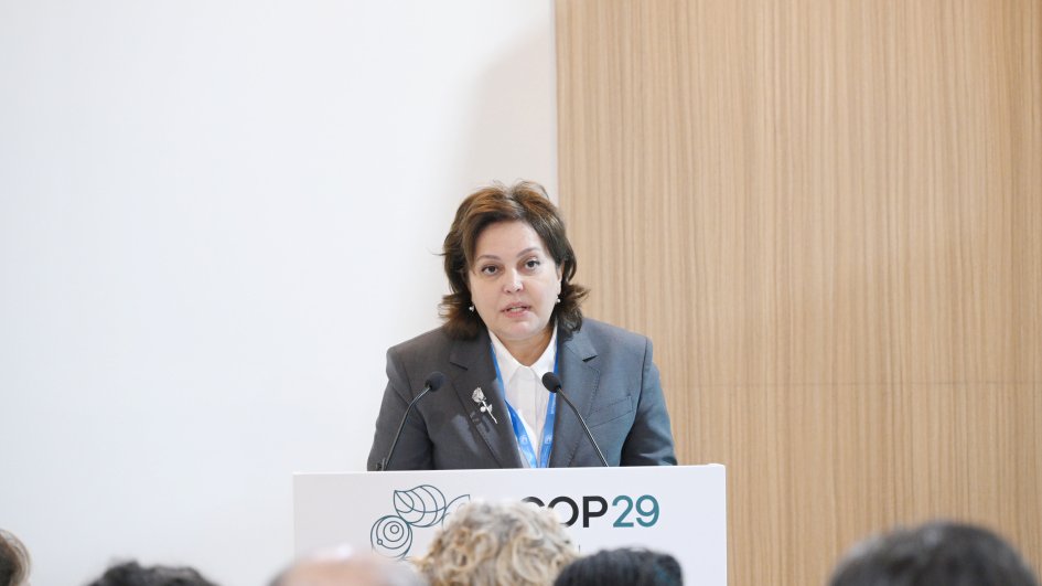 COP29-da Xəzəryanı dövlətlərin bəyannaməsi qəbul olunub