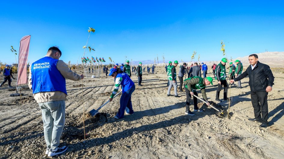 Naxçıvanda on beş gündə 11 mindən çox ağac əkilib
