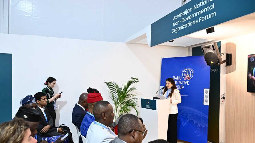 COP29: Bakı Təşəbbüs Qrupunun təşkilatçılığı ilə “Dekolonizasiya və yaşıl gələcək naminə həmrəylik” adlı tədbir keçirilib