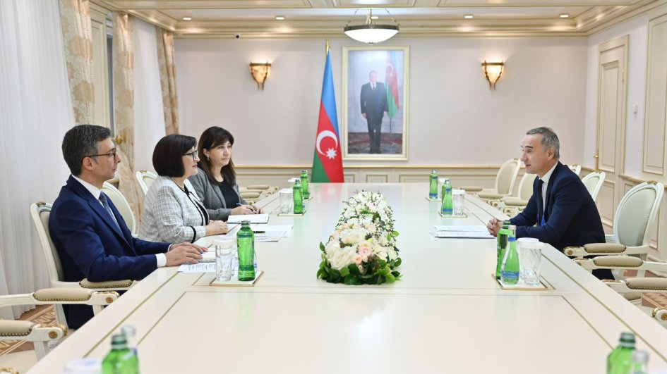 ATƏT PA-nın vitse-prezidenti: İqlim dəyişikliyi ilə bağlı məsələlərə qlobal yanaşma dəyişməlidir