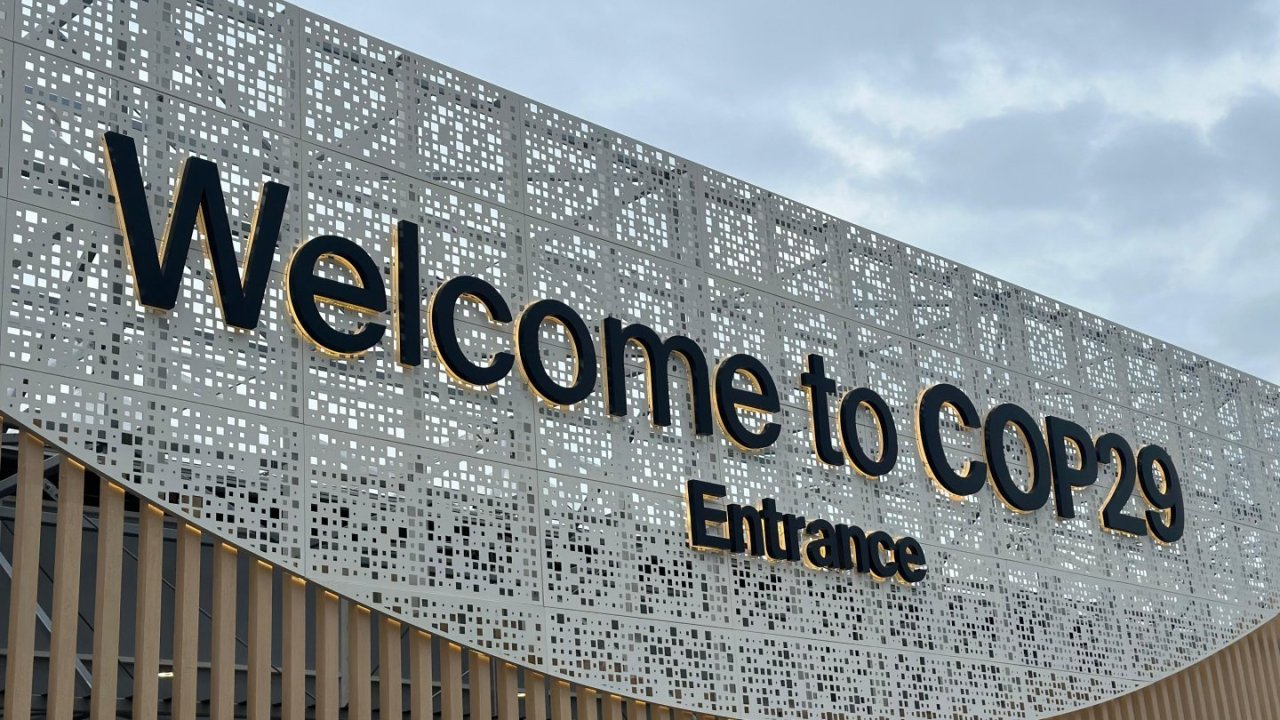 COP29 çərçivəsində İnsan inkişafı, Uşaqlar və gənclər, Sağlamlıq və Təhsil Günü keçirilir