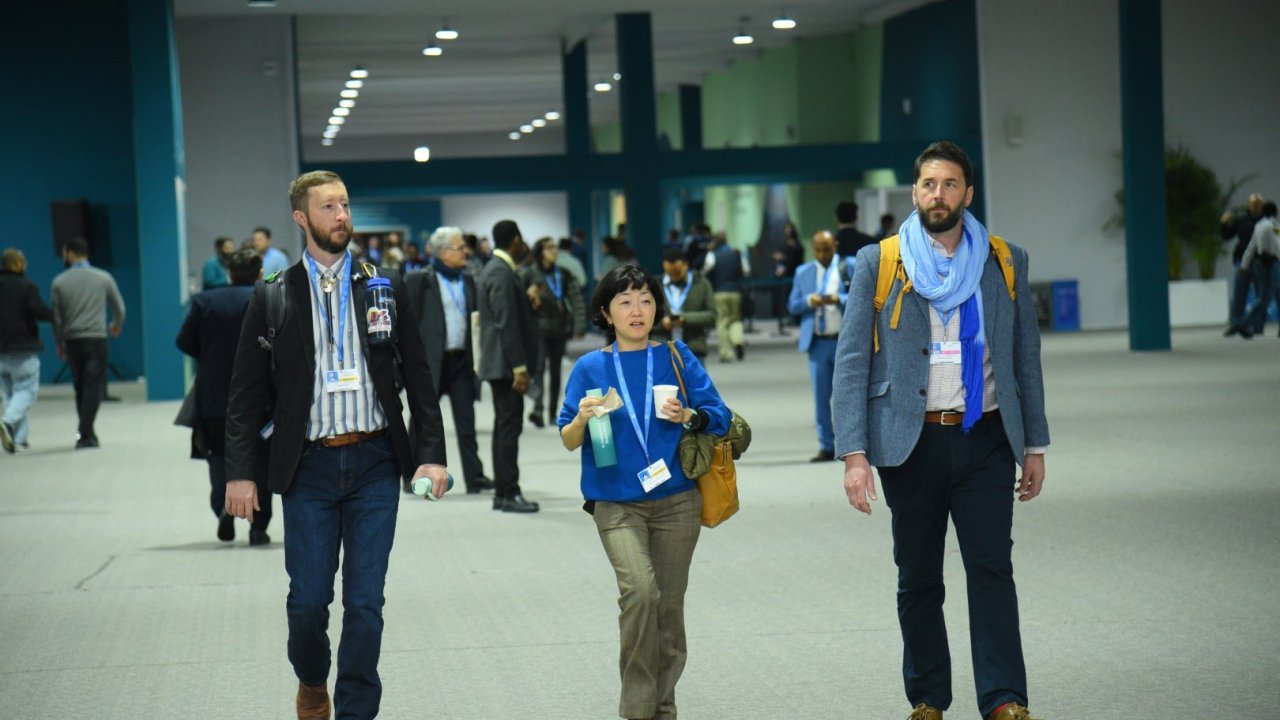 COP29:  8-ci gün   Fotoreportaj