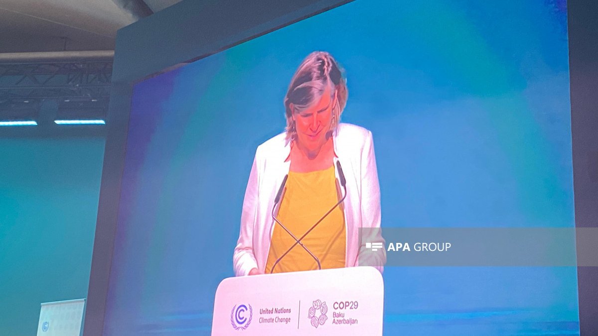 Hollandiya Krallığının Xüsusi Su Elçisi: Su COP29-da danışdığımız əsas problemlərdəndir