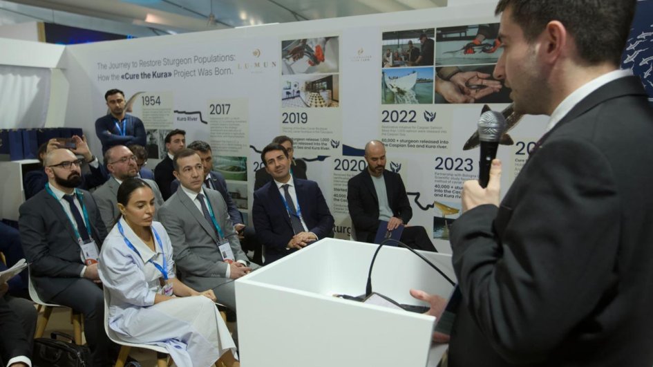 Leyla Əliyeva Yaşıl Zonada balıq körpələrinin suya buraxılışında iştirak edib