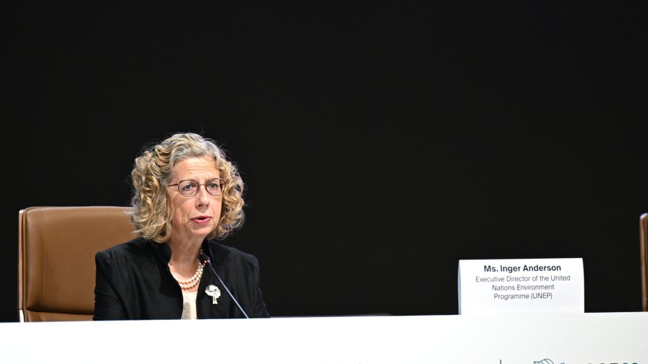 UNEP-in icraçı direktoru: Dünyada qaz emissiyalarının 52 faizi 25 meqapolisin payına düşür