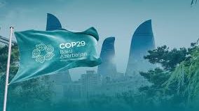 COP29: Birinci həftənin yekunu VİDEO