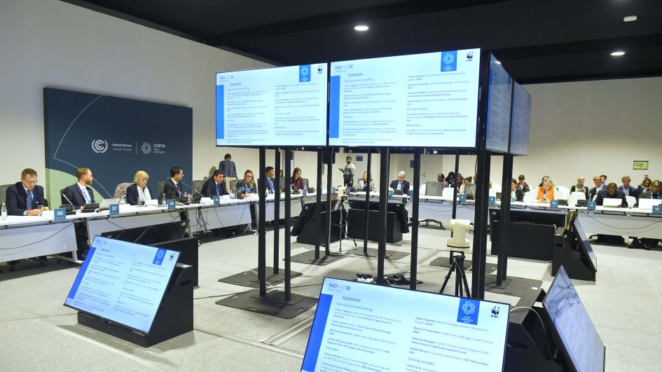 Qlobal ərzaq təhlükəsizliyinin təminatında COP29 çərçivəsində görülən işlər mühüm rol oynayacaq