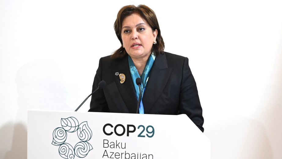 Umayra Tağıyeva: Uyğunlaşma xüsusi tədbirlər və adekvat maliyyə tələb edir