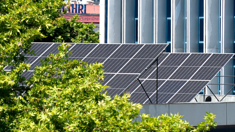 Özbəkistanda 2025-ci il yaşıl iqtisadiyyat ili elan olunub