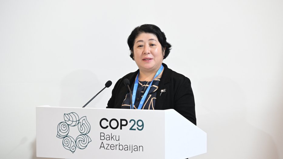 COP29 çərçivəsində Qafqaz dağlarının dayanıqlılığı və regional əməkdaşlıq müzakirə olunub