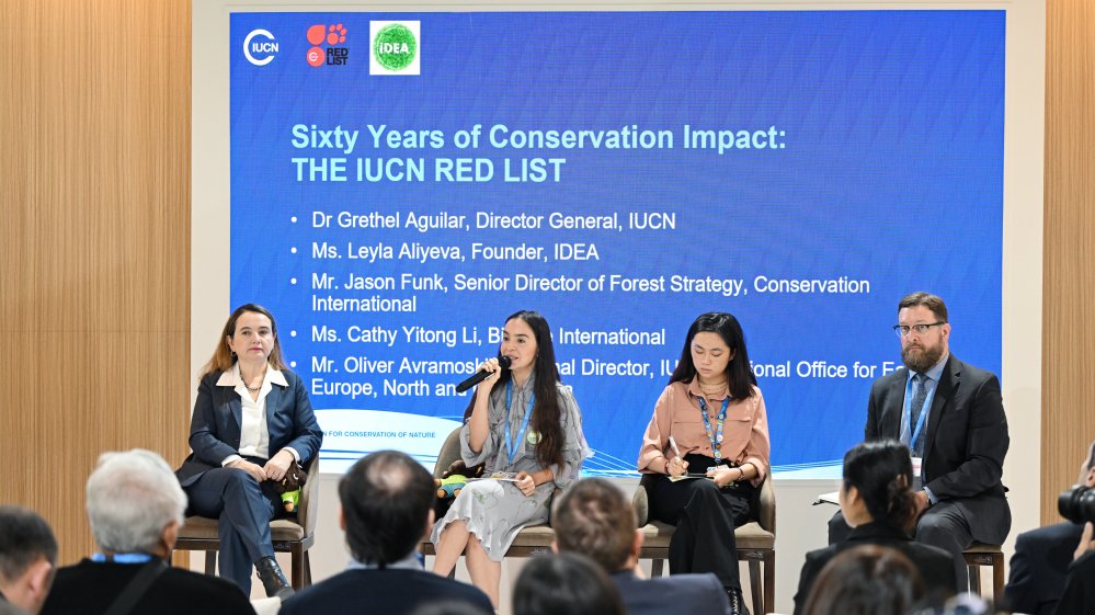 Heydər Əliyev Fondunun vitse-prezidenti Leyla Əliyeva COP29 çərçivəsində nadir canlıların mühafizəsinə həsr olunan panel müzakirələrində iştirak edib