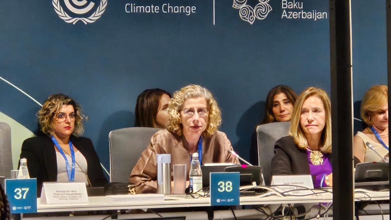 UNEP üç əsas konvensiya üzrə həmkarları ilə aktiv əməkdaşlıq etməyi planlaşdırır - İnqer Andersen