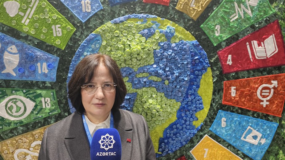 Nazir müavini: Türkiyə COP29-da təqribən 1800 nəfərlə iştirak etdi
