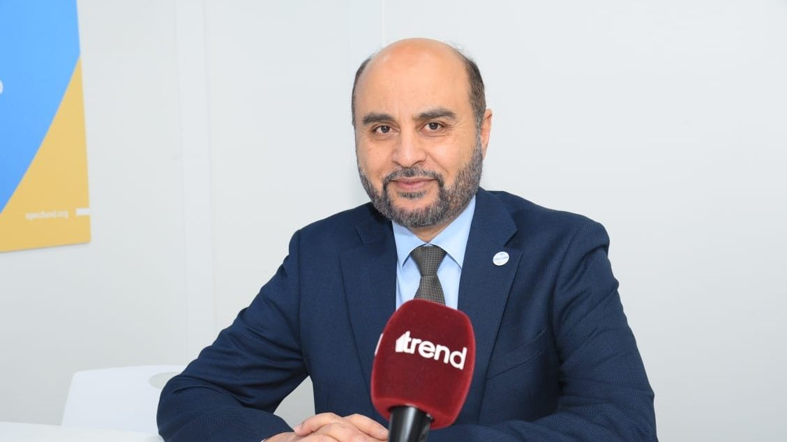 OPEC Beynəlxalq İnkişaf Fondu iqlim portfelini genişləndirir - Prezident (ÖZƏL MÜSAHİBƏ) (FOTO)