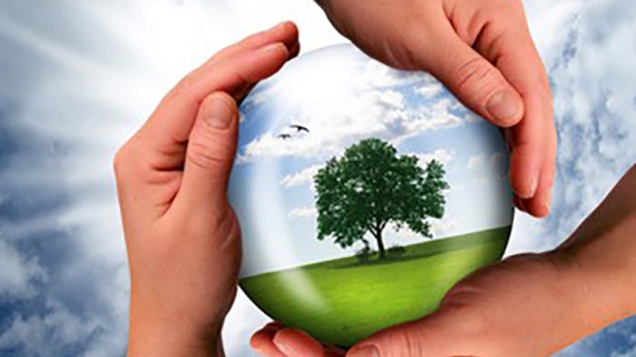 MDB İcraiyyə Komitəsi: Uğurlu COP29 Azərbaycanı iqlim siyasətində lider mövqeyinə çıxarıb