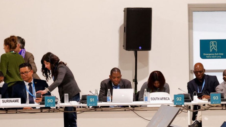 İnkişaf etməkdə olan ölkələr: 300 milyard dollar iqlim böhranı ilə mübarizə aparmaq üçünü kifayət deyil