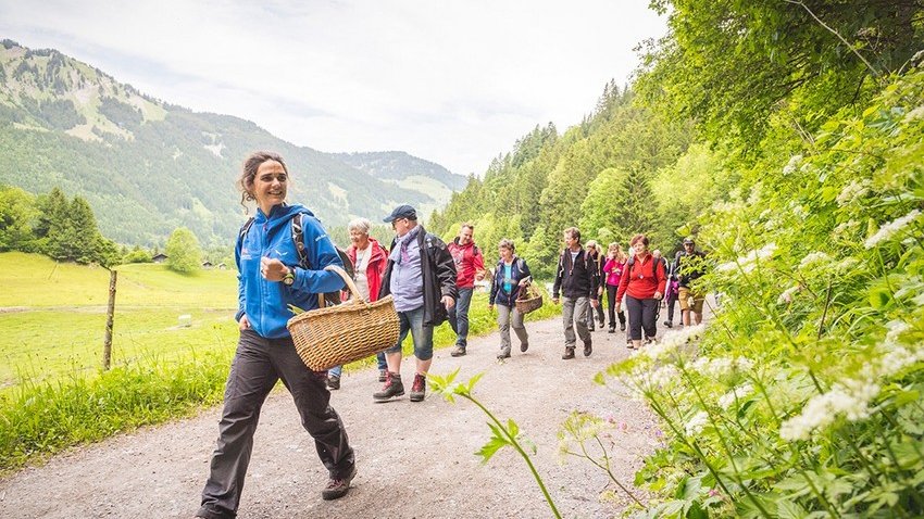 Azərbaycan təamları: “Slow Food” marşrutu Böyük Qafqazın kulinariya sirlərini açır