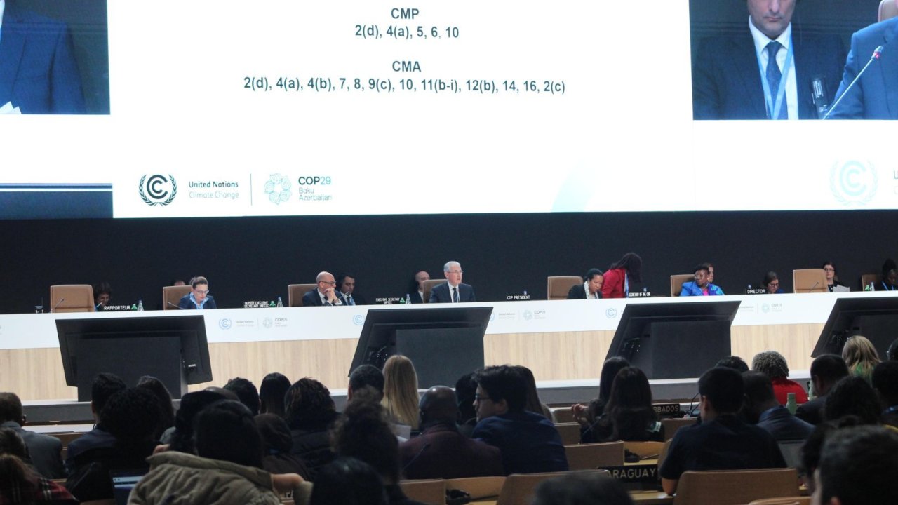 COP29-da Paris Sazişinin 6-cı maddəsinin tam icra olunmasına nail olundu - beynəlxalq karbon bazarları açılır