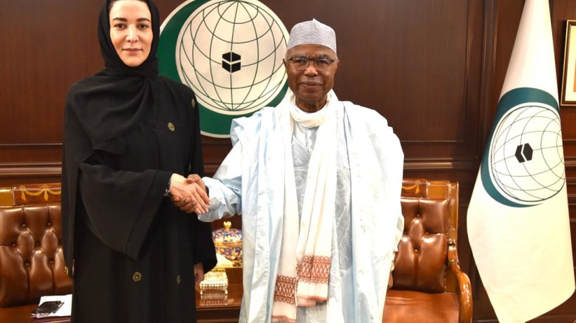 Ombudsman Səbinə Əliyeva İƏT ölkələrindən Azərbaycanın mina probleminə dəstəyin artırılmasını istəyib