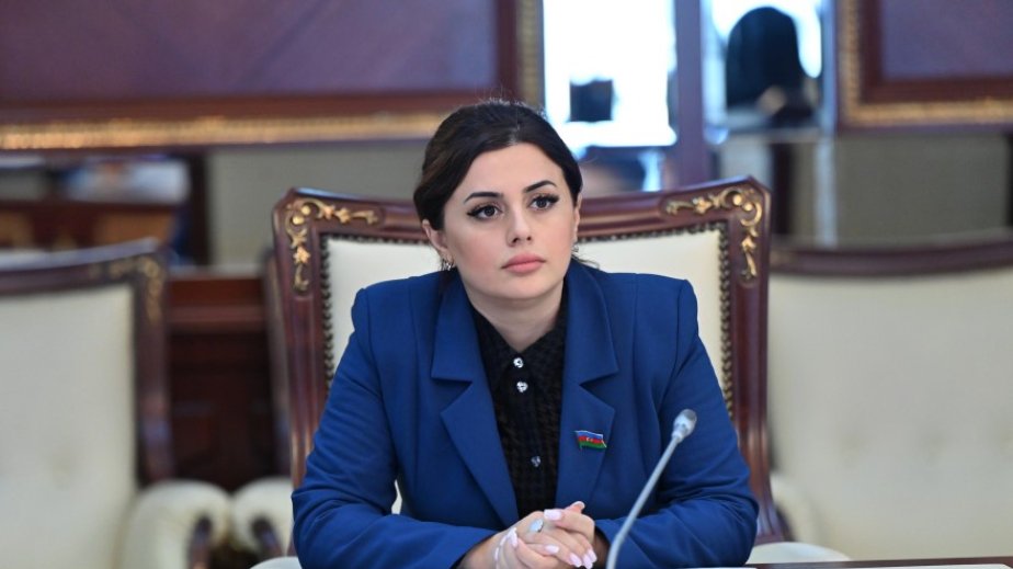 Belçika deputatlarının erməni diasporunun dezinformasiyaları əsasında çıxışı beynəlxalq hüquqa təhqirdir ŞƏRH