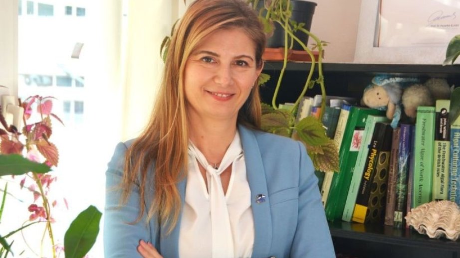 Türkiyəli ekspert: COP29 iqlim böhranı ilə mübarizədə yeni başlanğıcdır