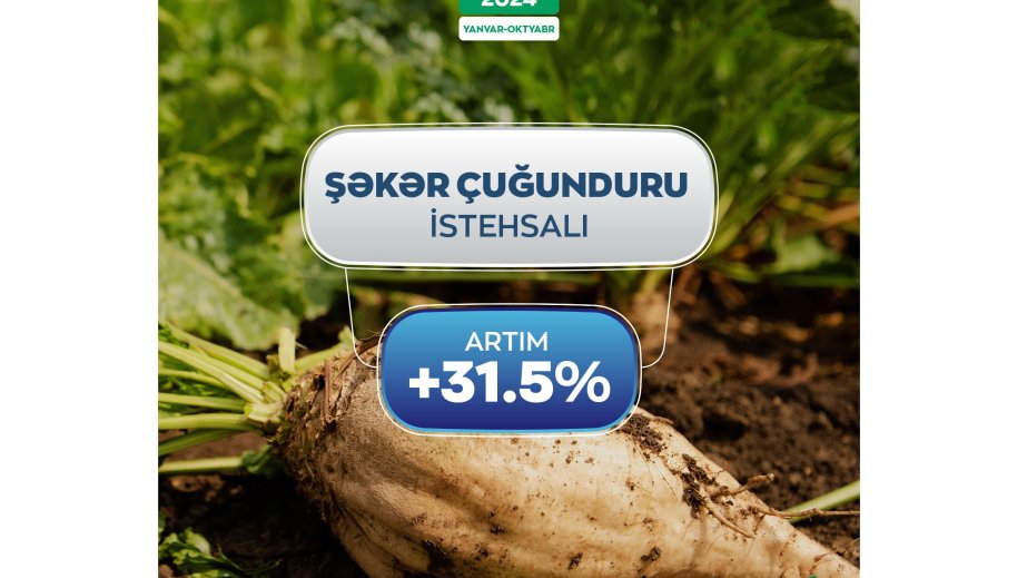 Yanvar-oktyabr aylarında şəkər çuğundurunun istehsalında 31,5 faiz artım qeydə alınıb