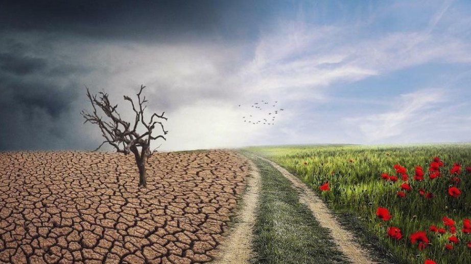 Yoluxucu xəstəliklərin təxminən 58 faizi iqlim dəyişikliyi nəticəsində yayılır