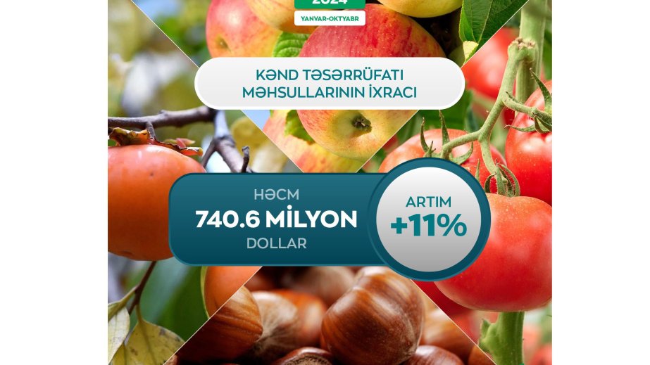 Kənd təsərrüfatı məhsullarının ixracında 11 faiz artım qeydə alınıb