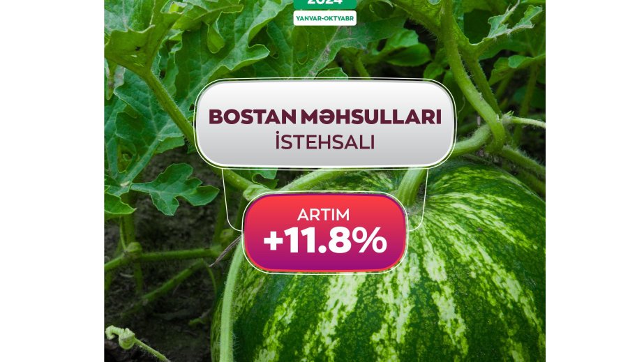 Azərbaycanda bostan məhsullarının istehsalı 11 faiz artıb