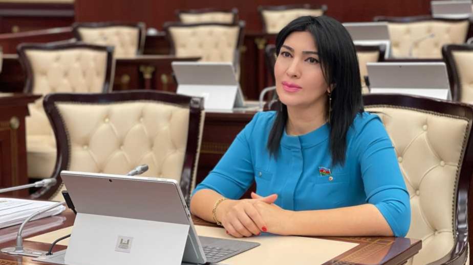 İqlim diplomatiyasında Azərbaycanın zəfəri ŞƏRH