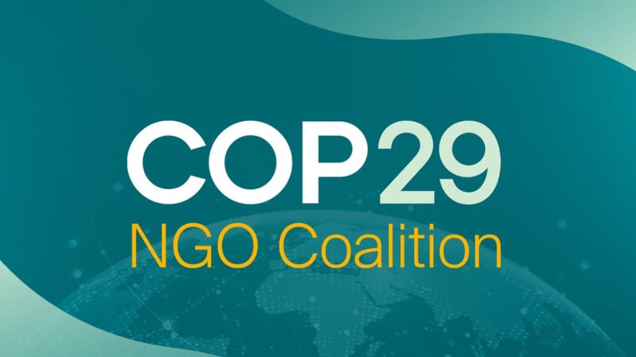 Yüzdən çox ölkədən 500 xarici QHT COP29-da “Baku dönüşü” ilə əlaqədar birgə bəyanat yayıb