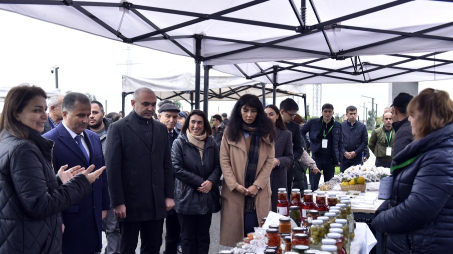 Lənkəran və Lerik rayonlarında Aqrar Biznes festivalları keçirilib
