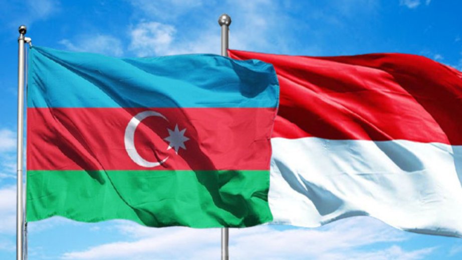 Azərbaycanın və İndoneziyanın diplomatik, xidməti pasport sahibləri vizadan azad olunurlar