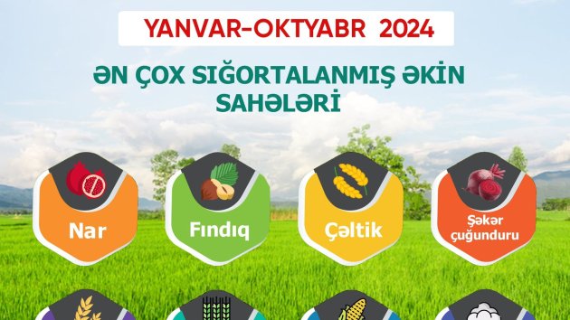 Meyvə bağları və əkin sahələri üzrə aqrar sığorta ödənişləri 4 dəfə artıb