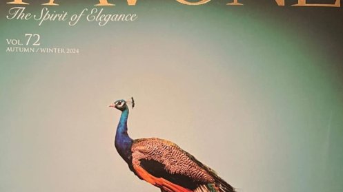 “Pavone” jurnalı yapon oxucuları Şuşa ilə tanış edib