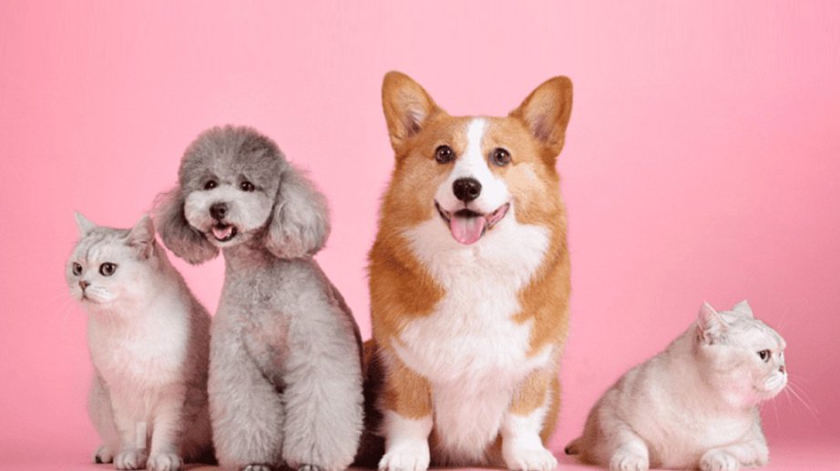 Noyabrın 30-da dünya ictimaiyyəti üç əlamətdar günü qeyd edir